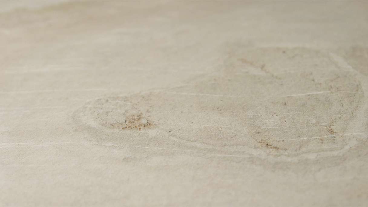 planeo EVOLITH Slate&Stone - Revêtement mural en pierre naturelle Siena Dust 1220 x 610 mm