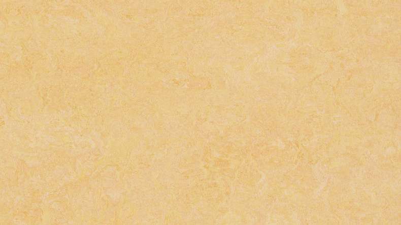 Forbo Linoleum Marmoleum Fresco - corn naturel 3846 2.5