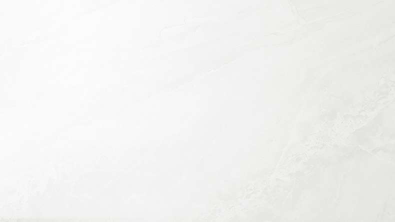 planeo StrongWall - Revêtement mural en plastique Evo 65 x 37,5 cm brillant