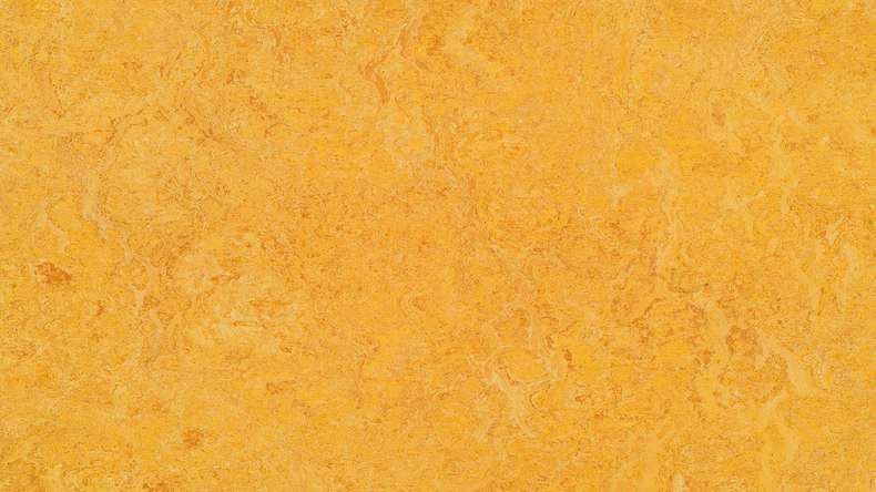 Forbo Linoleum Marmoleum Real - dandelion 3225-2.5