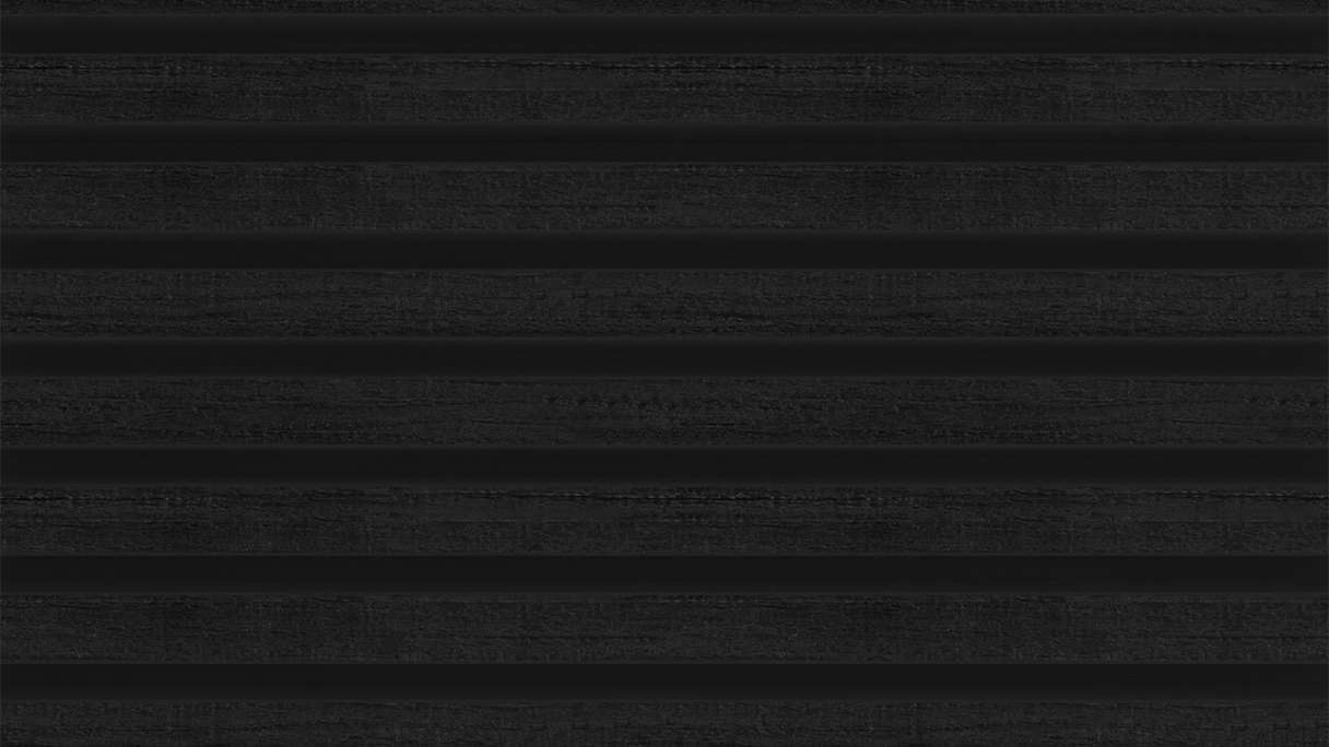 planeo LINEA Slim - Bardage de façade en WPC CoEx noir 2900 x 215 mm