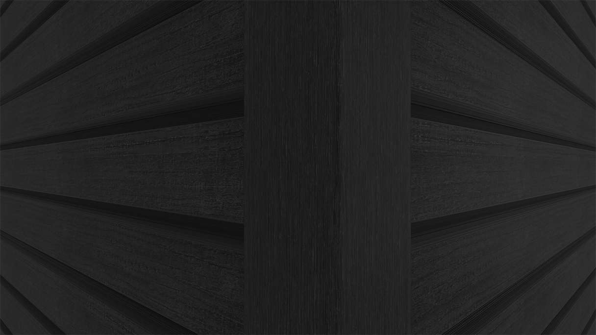 planeo LINEA Wide - Revêtement de façade en WPC CoEx, noir, 2900 x 181 mm