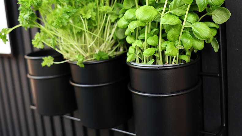 planeo Rangement - noir 3 pcs. Gobelets avec support