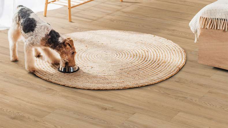planeo Vinyle à clic rigide - FlexCore 55 Oyster Oak | Isolation phonique intégrée (plfc-5220FS55)