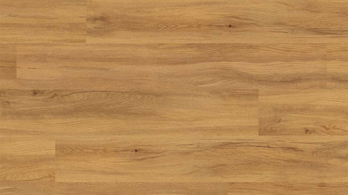 planeo Vinyle à clic rigide - FlexCore 55 Pure Oak | Isolation phonique intégrée (plfc-5122FS55)