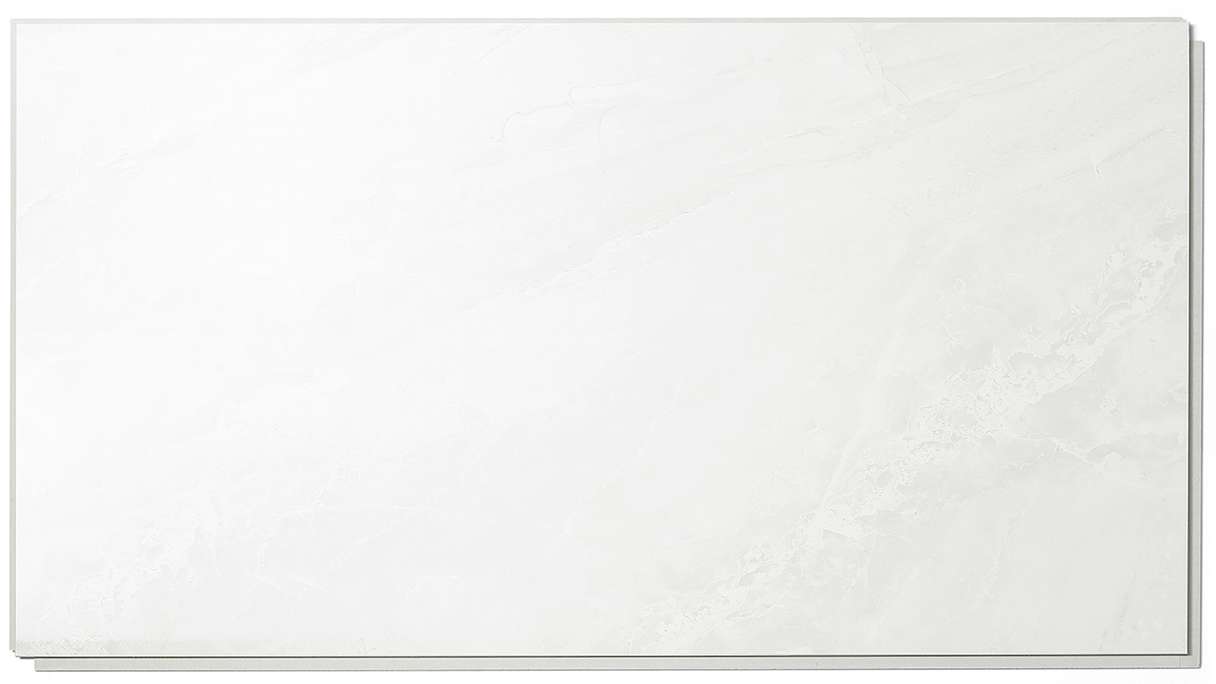 planeo StrongWall - Revêtement mural en plastique Evo 65 x 37,5 cm brillant