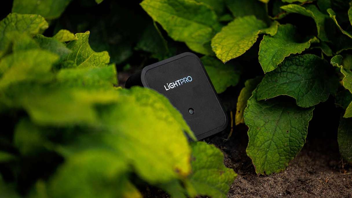planeo Éclairage de jardin Switch Smart WiFi