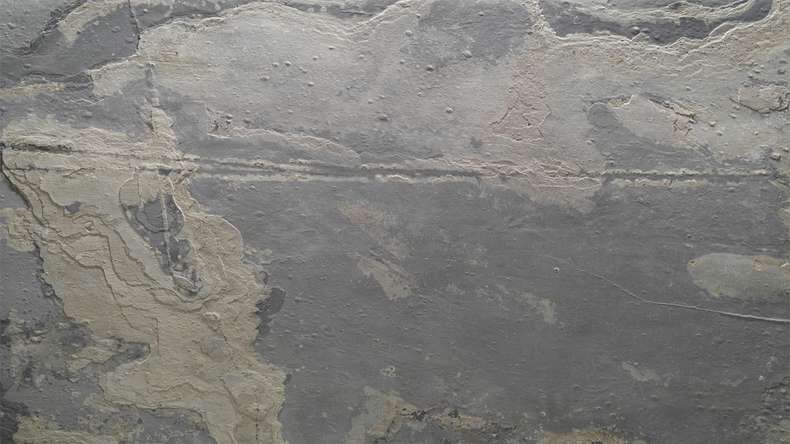 planeo EVOLITH Slate&Stone - revêtement mural en pierre naturelle Terracrust 1220 x 610 mm