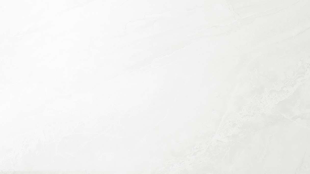 planeo StrongWall - Revêtement mural en plastique Evo 65 x 37,5 cm brillant