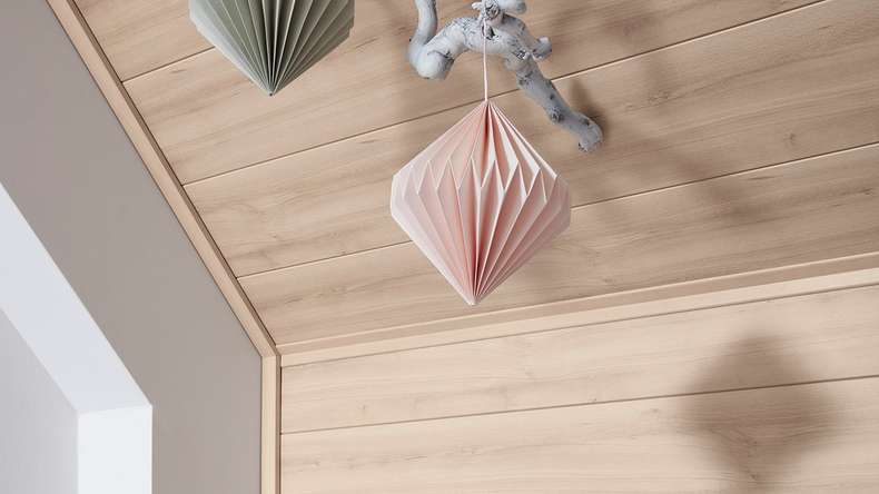 MeisterPanels lambris décor - Bocado 250 Pur hêtre 4094
