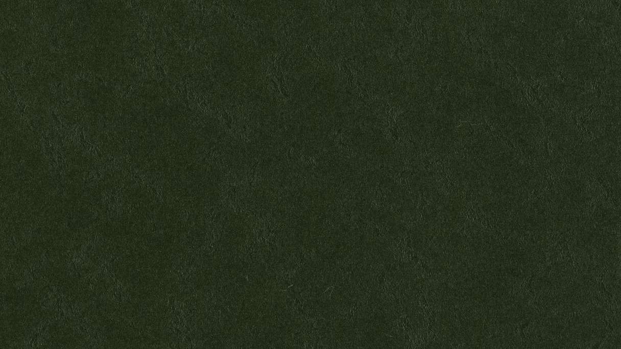 Forbo Linoléum Marmoleum Walton - bottle green 3359