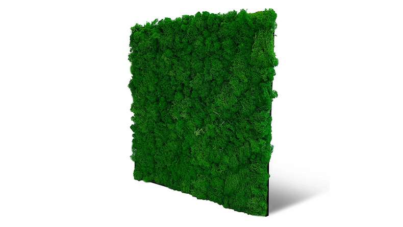 planeo Panneau acoustique - MixWall Living Moss Nature Green 52 x 52 cm | Mousse naturelle (PLMW-00111)