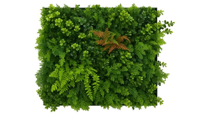 planeo Panneau acoustique - MixWall Leaf Mood Feral Green Mixed Flora 52 x 52 cm | Plante artificielle (PLMW-20121A)