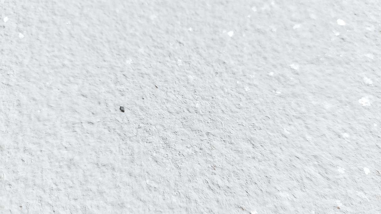 planeo EVOLITH Slate&Stone - revêtement mural en pierre naturelle Crystal White 1220 x 610 mm