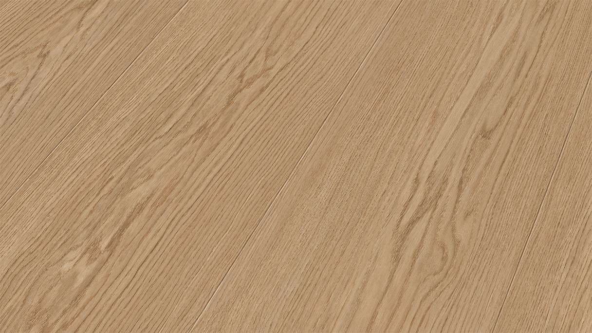 planeo Stratifié - Chêne Crème | Infinity Design Optique infinie (PML-65170)