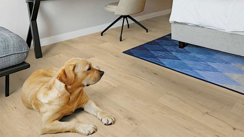 planeo Vinyle à clic rigide - FlexCore 30 Misty Oak | Isolation phonique intégrée (plfc-5023FS30)