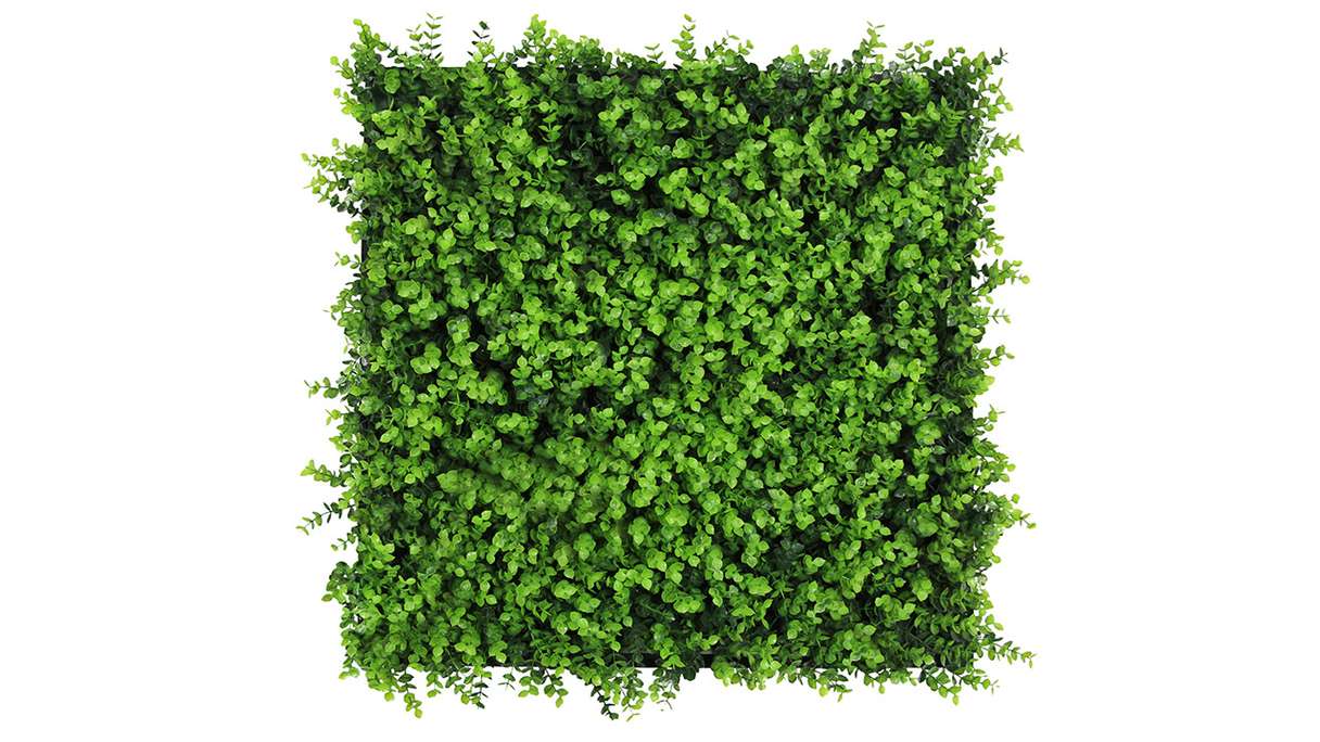 planeo Panneau acoustique - MixWall Leaf Mood Mixed Green Design Buxus 52 x 52 cm | Plante artificielle (PLMW-21111)