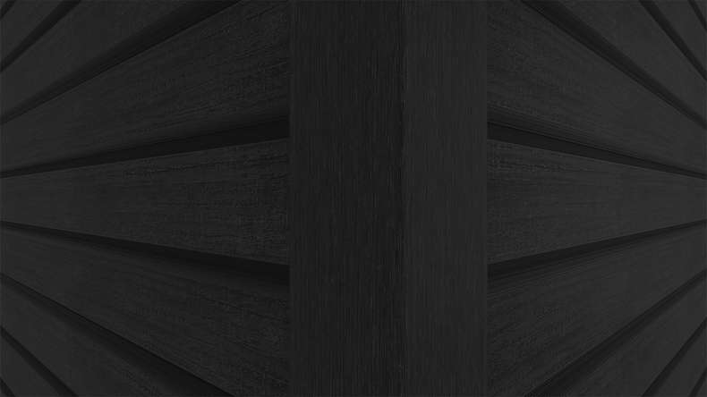 planeo LINEA Wide - Revêtement de façade en WPC CoEx, noir, 2900 x 181 mm