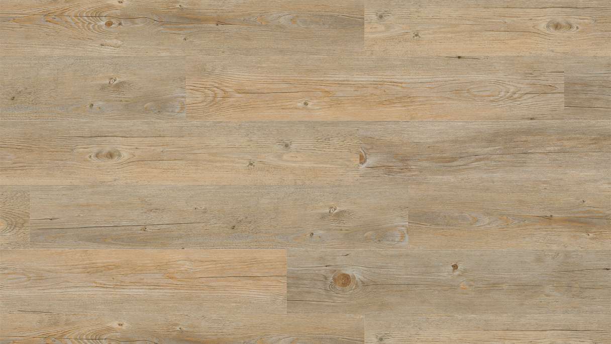 Project Floors Sols biologiques - ECO+ Collection ECO 3020/30 (ECO302030)
