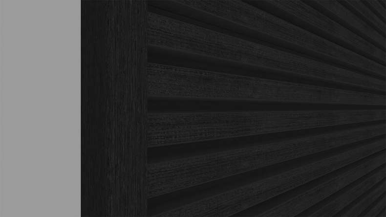 planeo LINEA Slim - Bardage de façade en WPC CoEx noir 2900 x 215 mm
