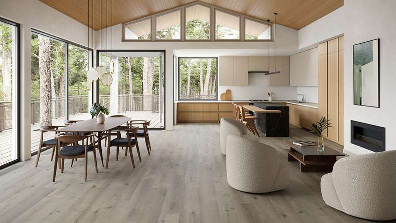 planeo WPC Sol PVC clipsable - PUREtec MAX 70 EIR Light Grey Oak | Isolation phonique intégrée (RP-A50-5)