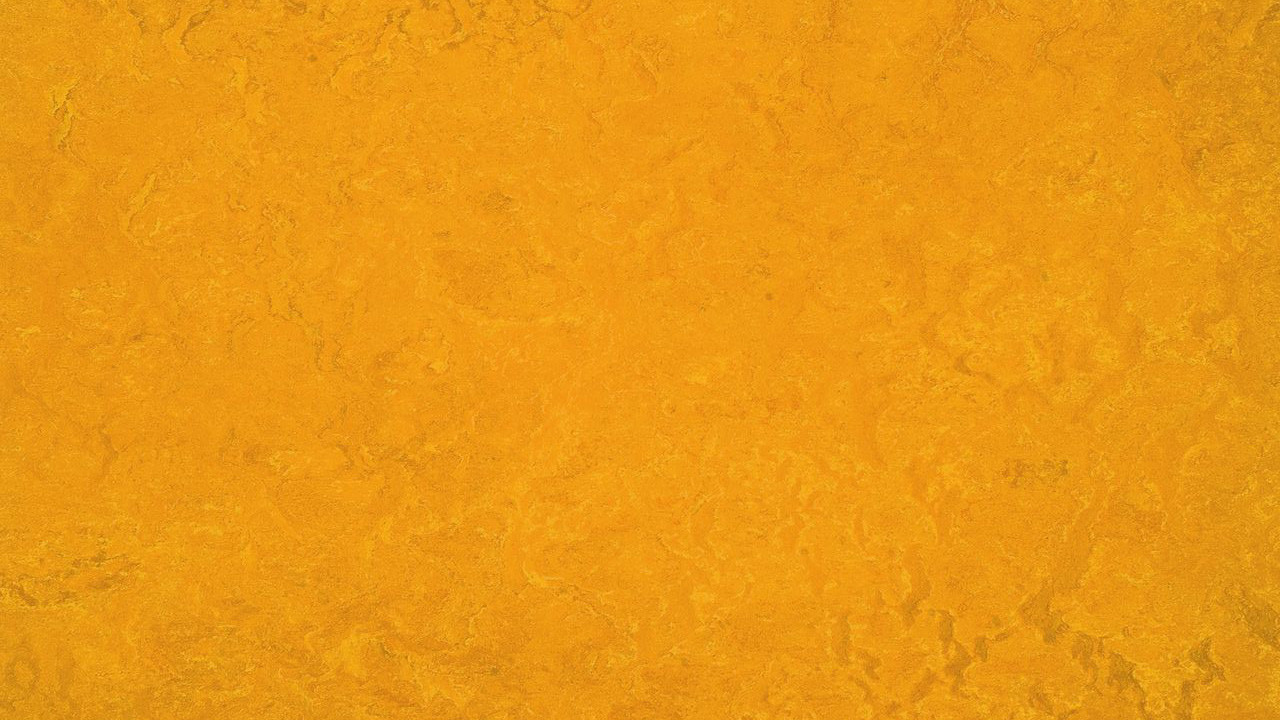 Forbo Linoleum Marmoleum Fresco golden sunset 3125 2mm Linoléum