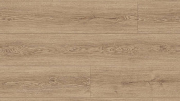 MEISTER Sol écologique - MeisterDesign flex DD 400 / DB 400 Chêne pédonculé nature (5933006983)