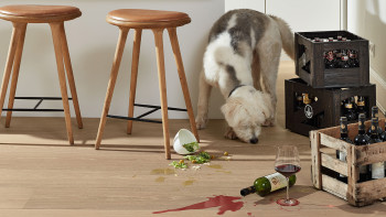 planeo Sol en bois - Noble Wood Chêne Elverun | Made in Germany (EDP-229)