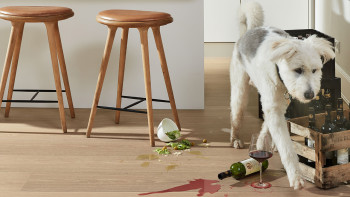 MEISTER Sol en bois - Lindura HD 400 Chêne nature champagne (633022892227)