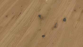 MEISTER Parquet - Longlife PD 400 Chêne authentique greige (5219009019)