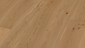 MEISTER Parquet - Longlife PD 400 Chêne authentique greige (5224009029)