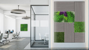 planeo Panneau acoustique - MixWall Timber Touch Althea Oak 52 x 52 cm | Placage en bois véritable (PLMW-10011A)