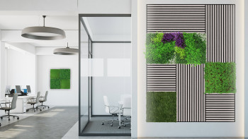 planeo Panneau acoustique - MixWall Living Leaf Thuja Tea Tree 52 x 52 cm | Plante naturelle (PLMW-50111)