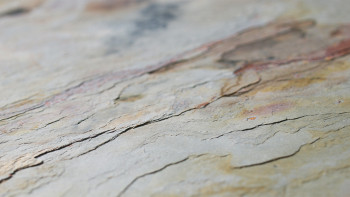 planeo EVOLITH EasyFix - Revêtement mural en pierre naturelle Autumn Drift 600 x 300 mm - 6pcs.