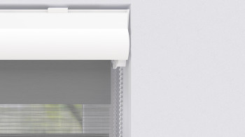 store double planeo 28mm TL profil de tête - gris