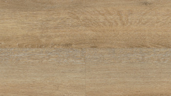 Wineo Sol PVC Rigide clipsable - 400 wood XL Joy Oak Tender | isolation phonique intégrée (RLC126WXL)