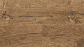 Wineo Sol PVC Rigide clipsable - 400 wood XL Comfort Oak Mellow | isolation phonique intégrée (RLC129WXL)