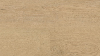 Wineo Sol vinyle multicouche - 400 wood L Plain Oak Beige | isolation phonique intégrée (MLD281WL)