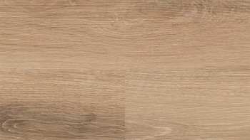 Wineo Sol PVC Rigide clipsable - 400 wood L Vivid Oak Nature | isolation phonique intégrée (RLC283WL)