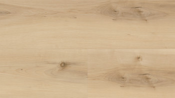 Wineo Sol vinyle multicouche - 400 wood XL Nordic Maple Cream | isolation phonique intégrée (MLD289WXL)