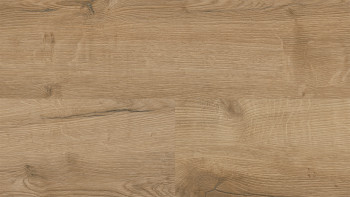 Wineo Sol PVC Rigide clipsable - 400 wood XL Comfort Oak Nature | isolation phonique intégrée (RLC291WXL)