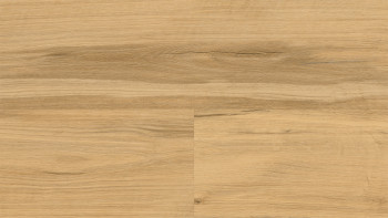 Wineo Sol vinyle multicouche - 400 wood XL Shadow Oak Nature | isolation phonique intégrée (MLD292WXL)
