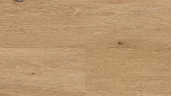 Wineo Sol PVC Rigide clipsable - 400 wood XL Country Oak Nature | isolation phonique intégrée (RLC294WXL)