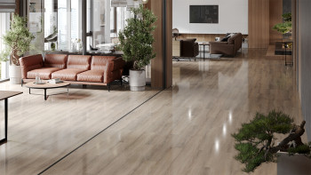 planeo Stratifié - BlueLine Chêne Sonoma Haut Brillant (L100P4186HG)