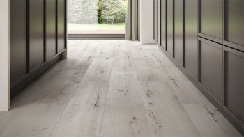 planeo Vinyle à clipser - Rigide Chêne Venezia IXPE ultramatt | Grain synchronisé (MF-1111IXPE)