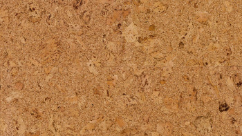 Wicanders parquet liège clipsable - Cork Essence Originals Shell