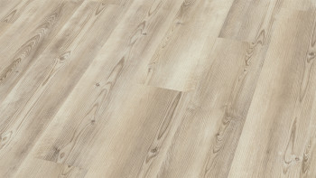 Wineo Sol vinyle multicouche - 400 wood L Coast Pine Greige | isolation phonique intégrée (MLD280WL)