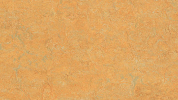 Forbo Linoleum Marmoleum Real - safran doré 3847 2.5