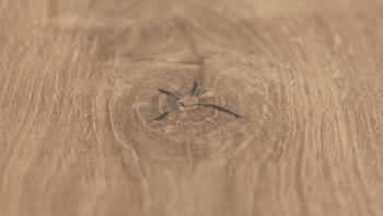 planeo TitanBoard HPL - lame de terrasse oak nature