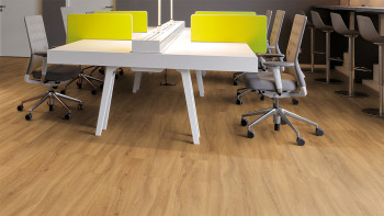 planeo Vinyle à clic rigide - FlexCore 30 Pure Oak | Isolation phonique intégrée (plfc-5122FS30)